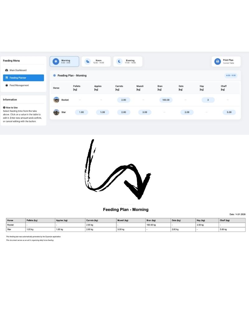 PDF Export Examples